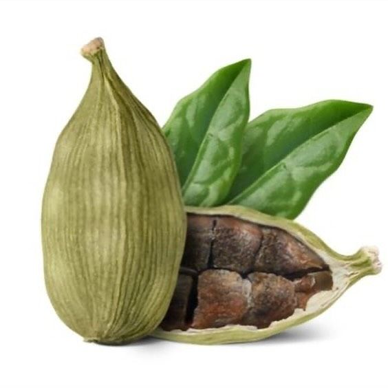 Green Cardamom wholesale supplier and exporter in India