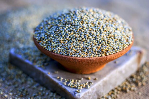 Pearl Millet (Bajra) wholesale supplier and exporter in India