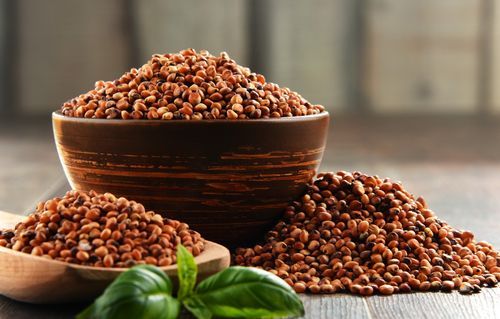 Sorghum (Red) wholesale supplier and exporter in India