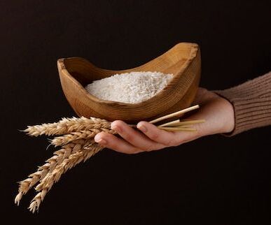 Seeraga Samba: Performance Metrics for High-Volume HORECA | Technical Analysis